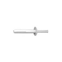 RS75-P-9 Insulating Drive Rivet, 1/4″ x 3/4″