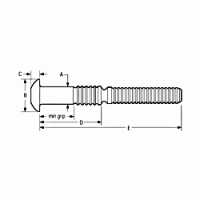 2621-1010 Avdelok Brazier Head Lock Bolt, 5/16″ Dia.
