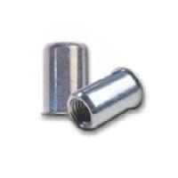 Steel Standard CAO Series Blind Rivet Nuts